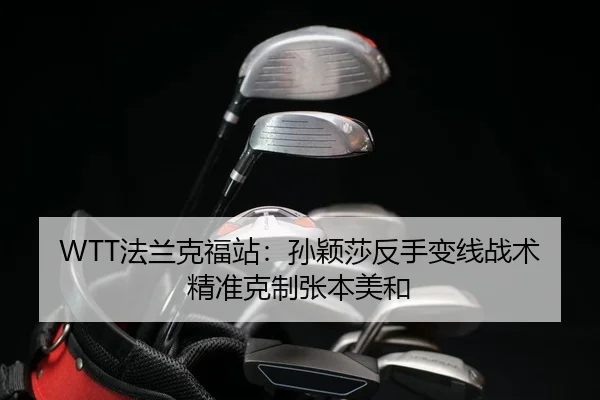 fa-lan-ke-fu-zhan-sun-ying-sha-fan-shou-bian-xian-zhan-shu-jing-zhun-ke-zhi-zhang-ben-mei-he-2-860.jpg