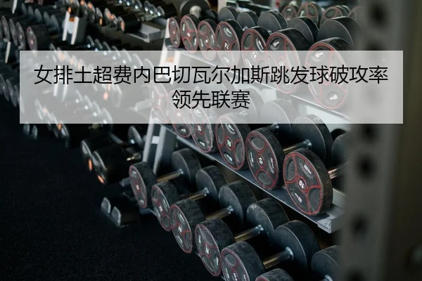 女排土超费内巴切瓦尔加斯跳发球破攻率领先联赛